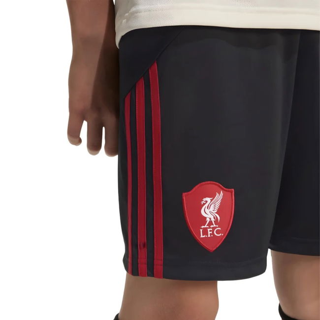 Liverpool 2025-2026 Away Jersey - Kids