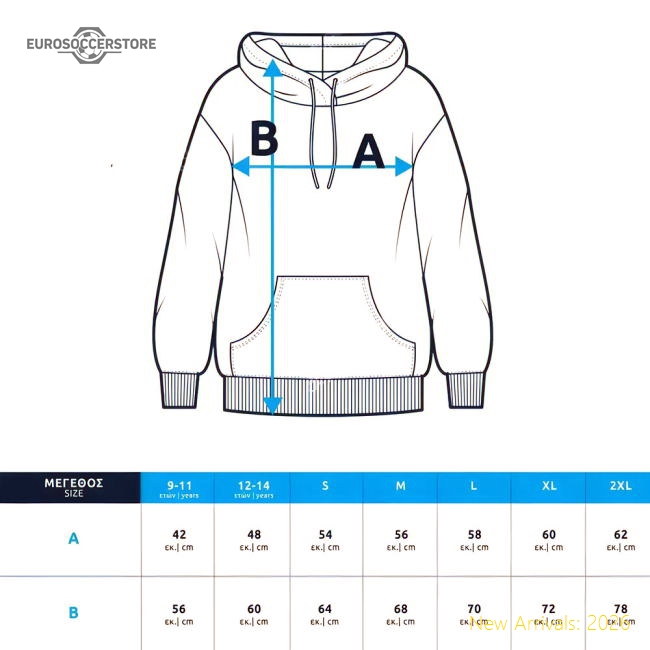 Authentic Argentina El 20242025 Regular Jersey () Breathable