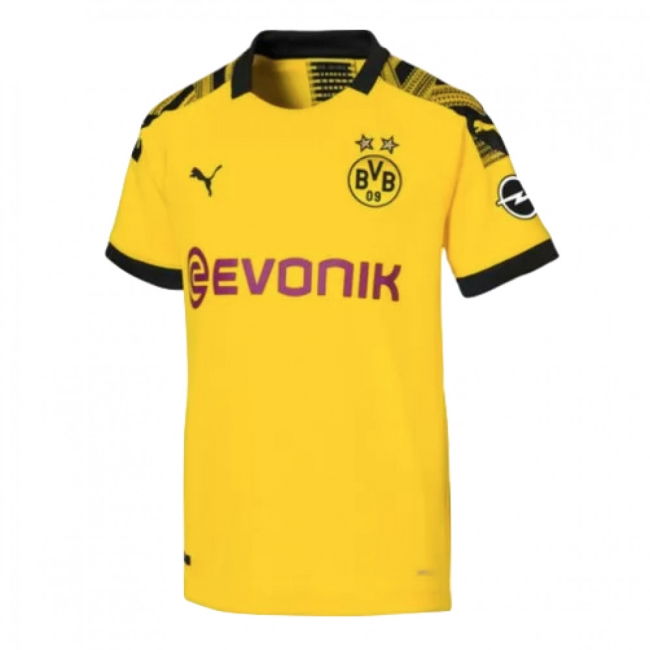 Borussia Dortmund Pro Home Professional Jersey 2019-2020