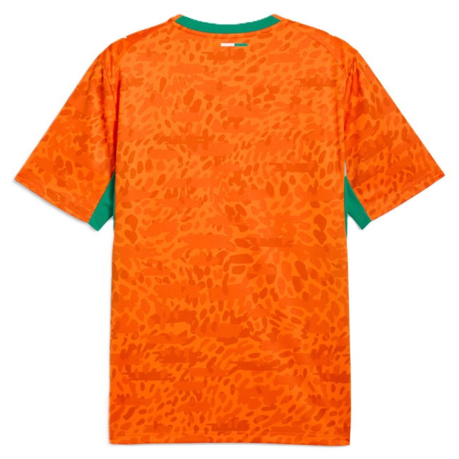 [DDJ] 2026-2027 Ivory Coast Home Shirt (Your Name)