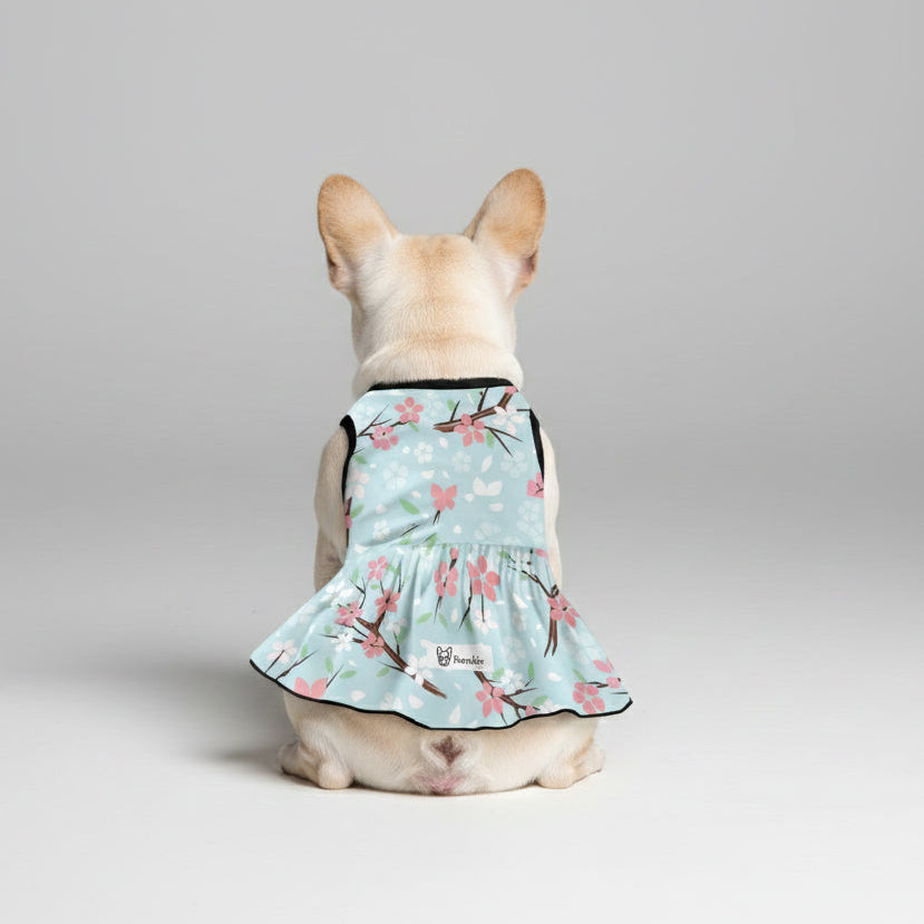 French Bulldog Mia French Bulldog Dresses For Females Frenchie Pet Item