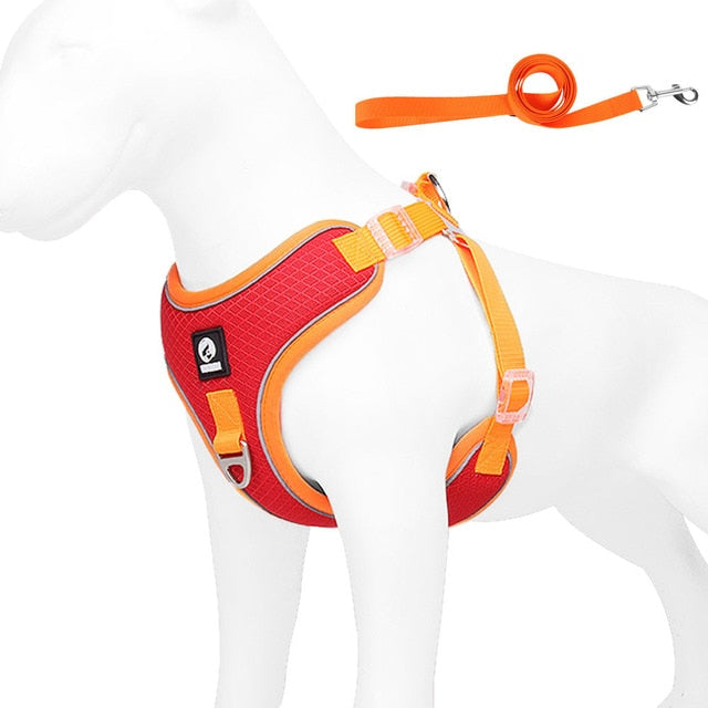 French Bulldog Frenchiekit™ Adjustable Frenchie Harness Leash Set Practical Dog Gear