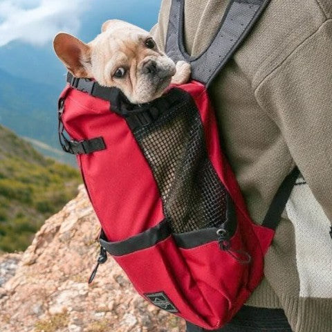 French Bulldog Frenchie Backpack™ [v1] (cs03) Practical Pet Supply