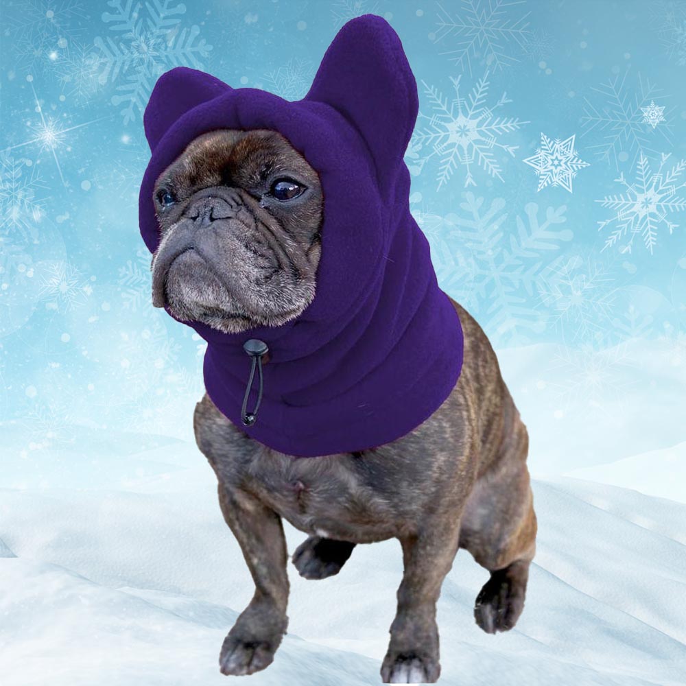 French Bulldog Soft Fleece Winter Hat Casual Wear | Unique Design
