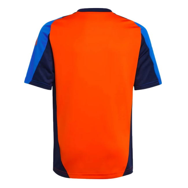 Juventus Classic Jersey 2024-2025 #86