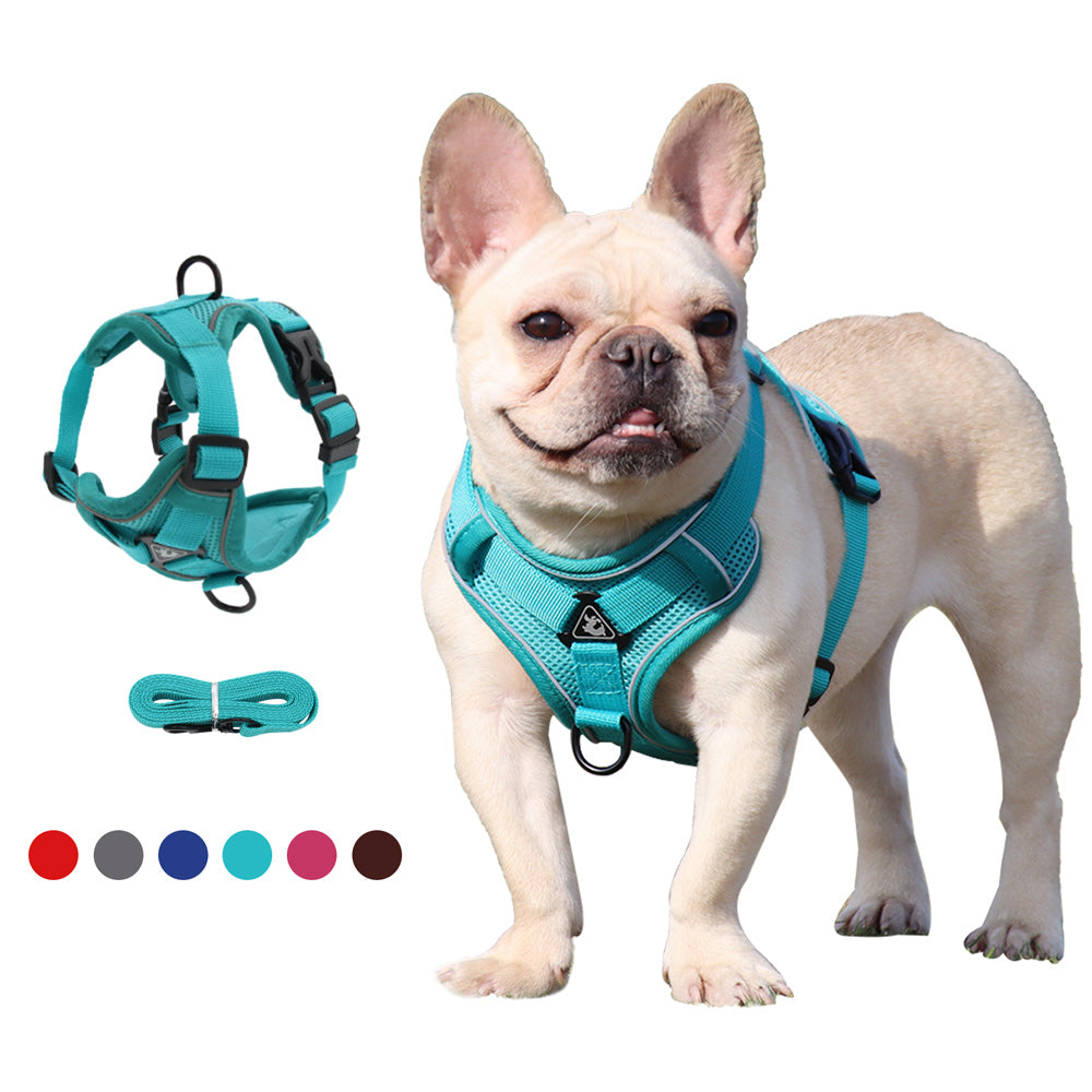 Outdoor-Adventure Reluxy™ -french Bulldog Harness Leash Set (wk01) fo...