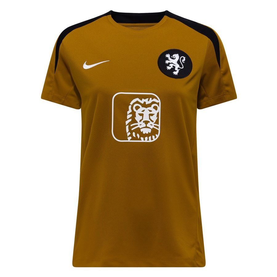 Holland Training T Shirt Dri Fit Strike Women's Euro 2025 Gold Suede/j