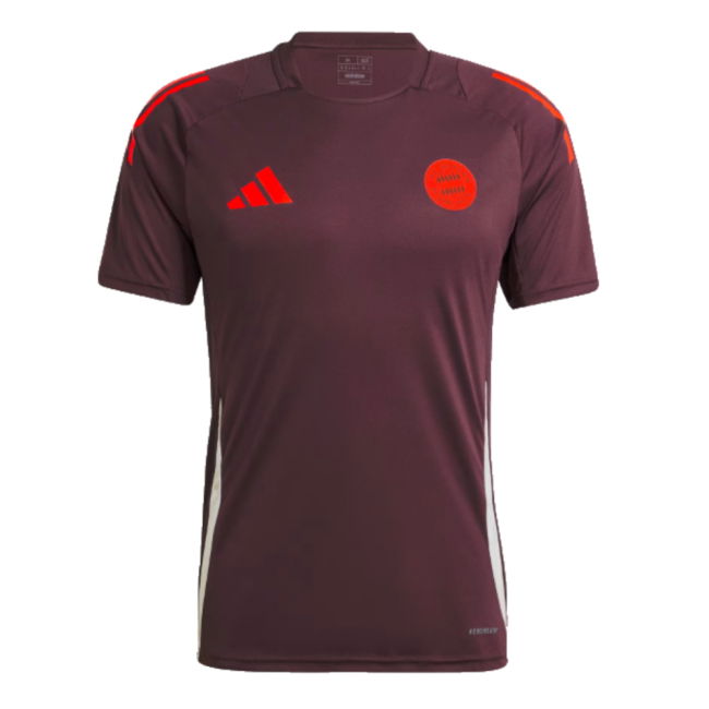 2024-2025 Bayern Munich Training Tee (Shadow Maroon) (Kane 9)