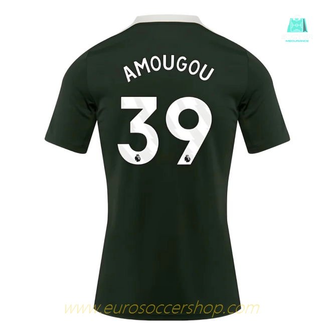 2025-2026 Chelsea Dri-Fit Strike Training Shirt (Green) (Amougou 39)