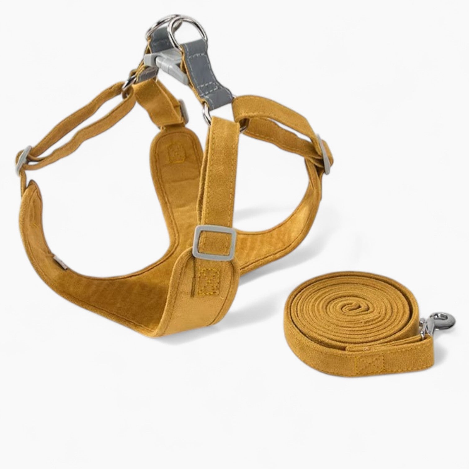 Leash Set – No-pull Anti-breakaway Walking Paw Protection | Comfort Fit