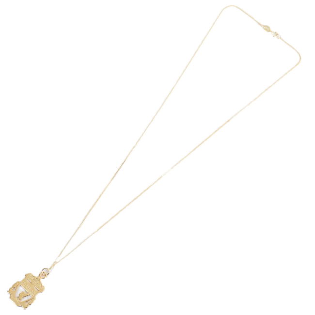 Liverpool 2020-24 Home Shirt Liverpool FC #18 L S