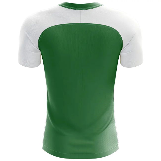 Premium-Quality 2025-2026 Nigeria Flag Home Concept Football Shirt
