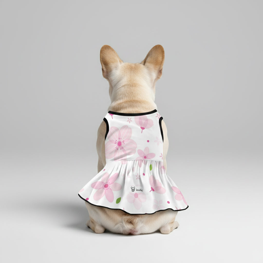 Zoya - French Bulldog Dresses for Females