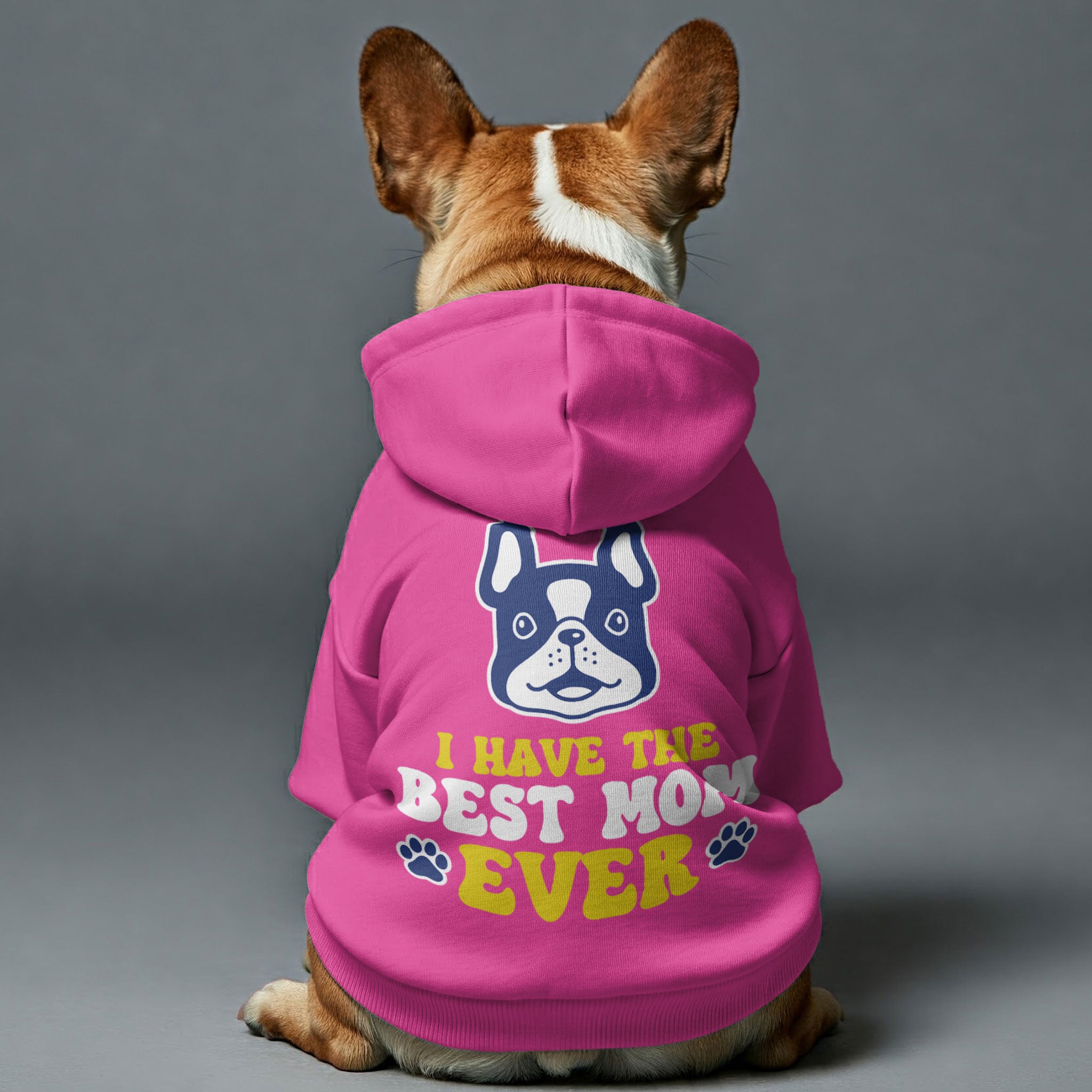 French Bulldog Best Mom Personalized French Bulldog Hoodies With Funny