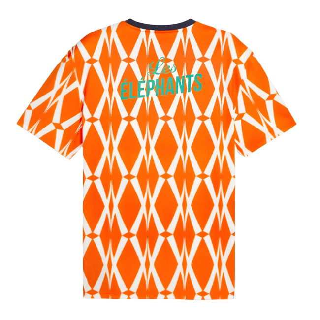 Match Worn Style Ivory Coast Professional Look Home Player Jersey