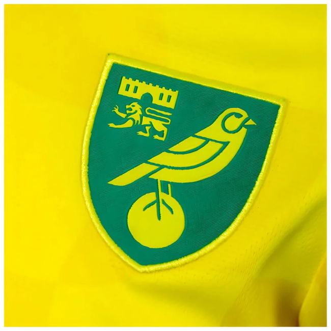 2024-2025 Norwich Home Shirt (Kids) (Duffy 24)