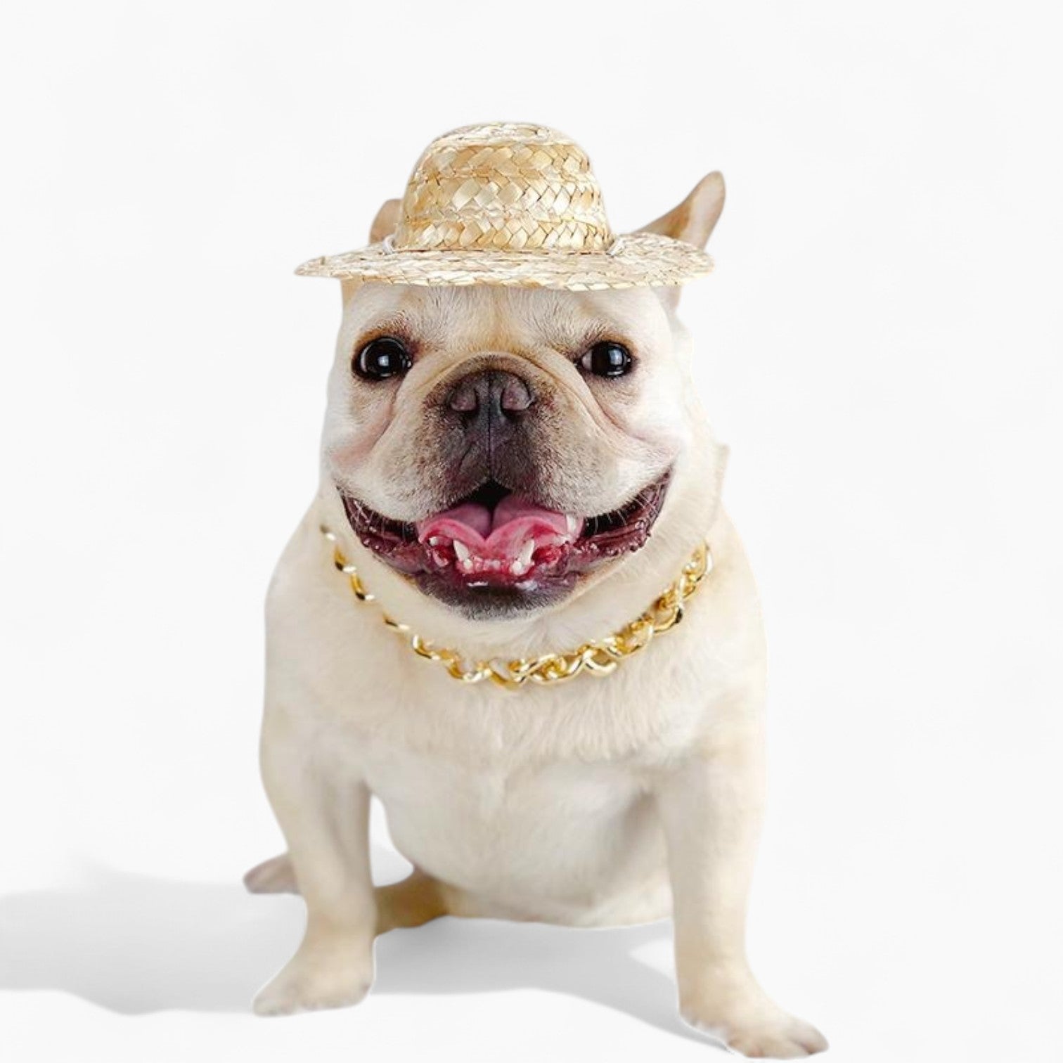 Stylish Glambull Frenchie Gold Necklace – Stylish Plastic Jewelry Cha...