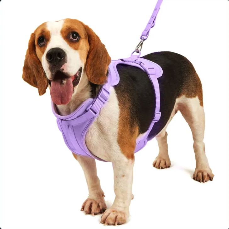 Puppy-Safe Durable Frenchie Quick Release Harness Leash Set for Playtime