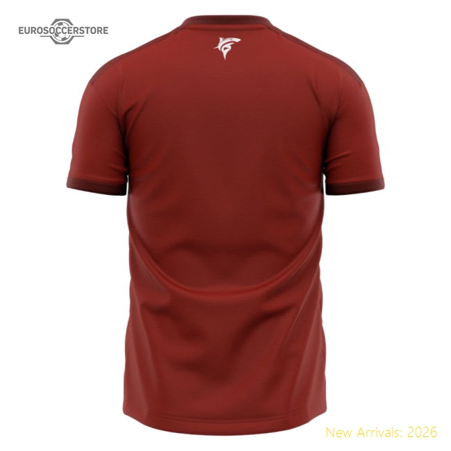 Highperformance Cape Verde 20242025 Third Jersey () Retro
