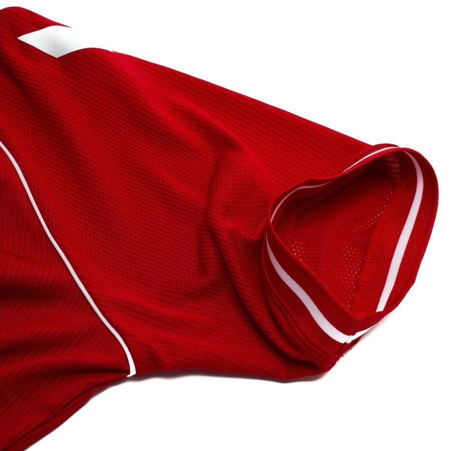 [EFKS] Denmark Pro Player Edition Home Jersey 2026/27