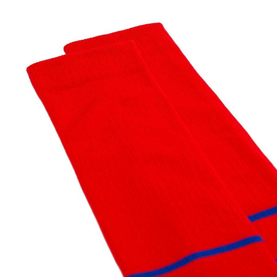 France Home Socks 2024/25