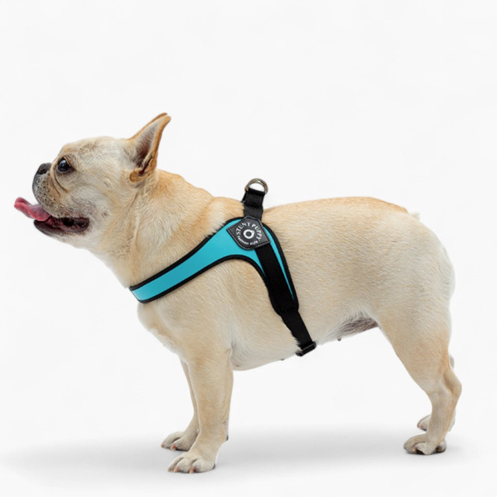 French Bulldog Easy Walk™ No Pull French Bulldog Harness (ws601) Practical Dog Gear