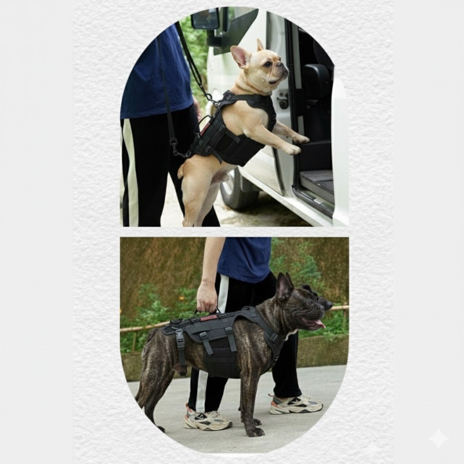 FrenLift™ Frenchie Support Harness – Heavy-Duty Walking Aid Dog Lift