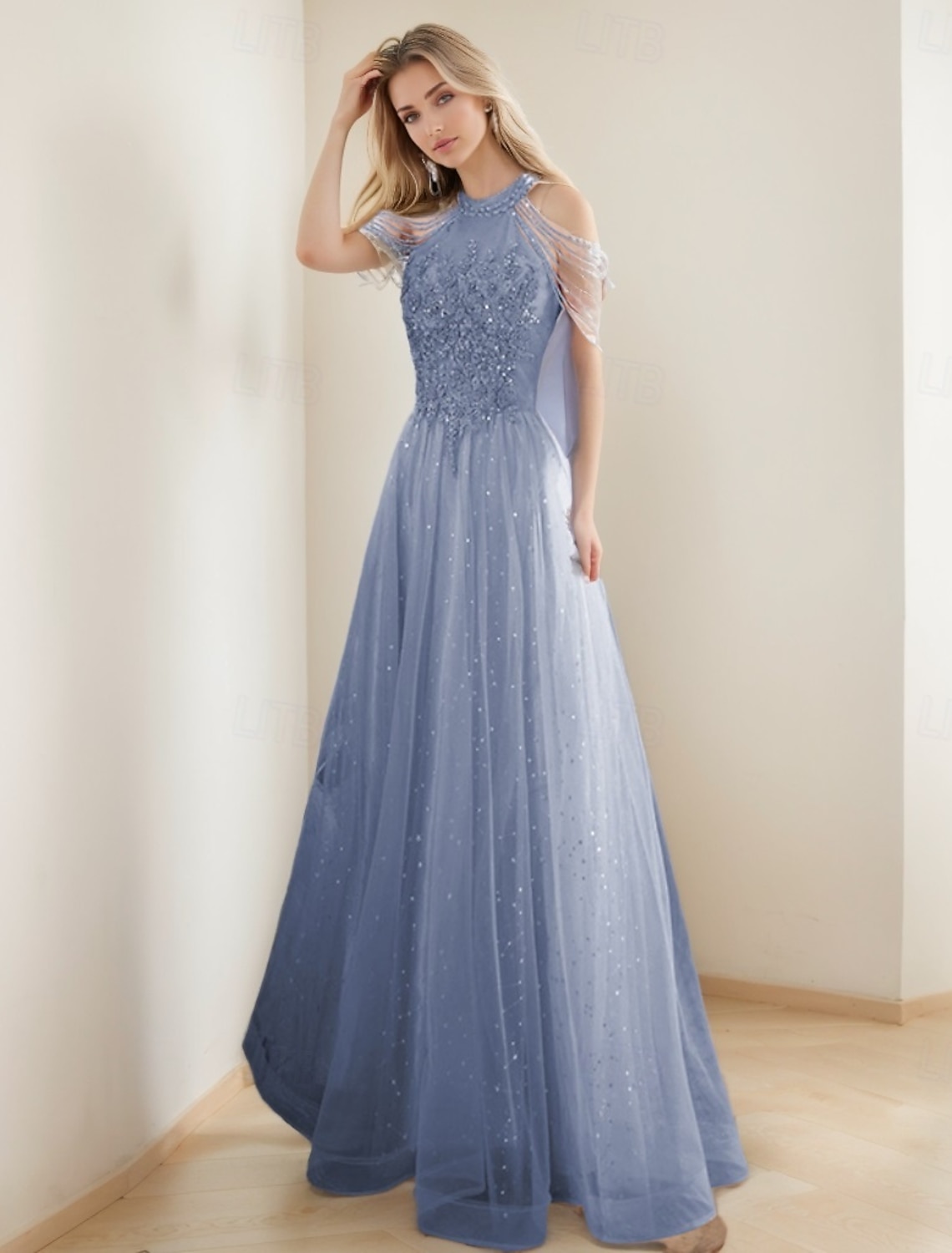 A-Line Prom Dresses Vintage Dress Formal Prom Floor Length Sleeveless High Neck Tulle with Glitter Tassel