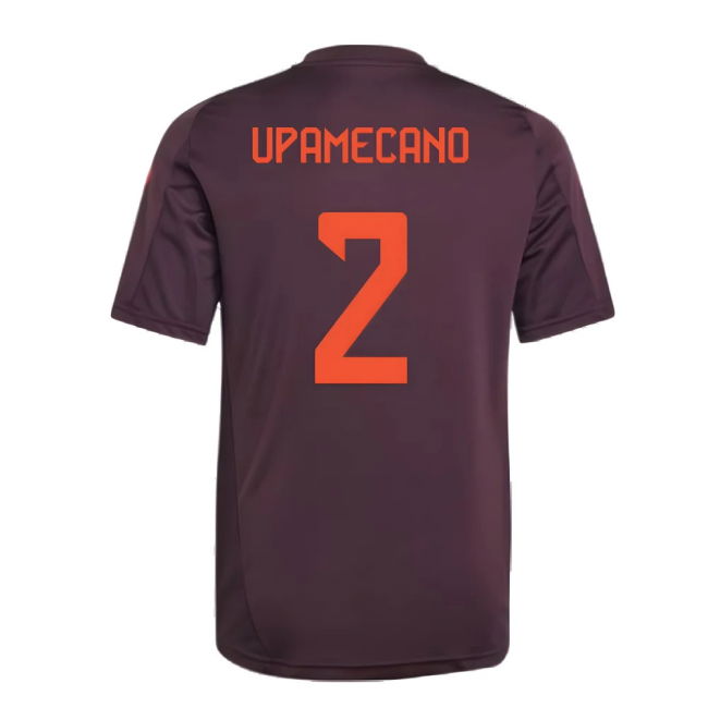 Bayern Munich Limited Edition Jersey 2024-2025 #21