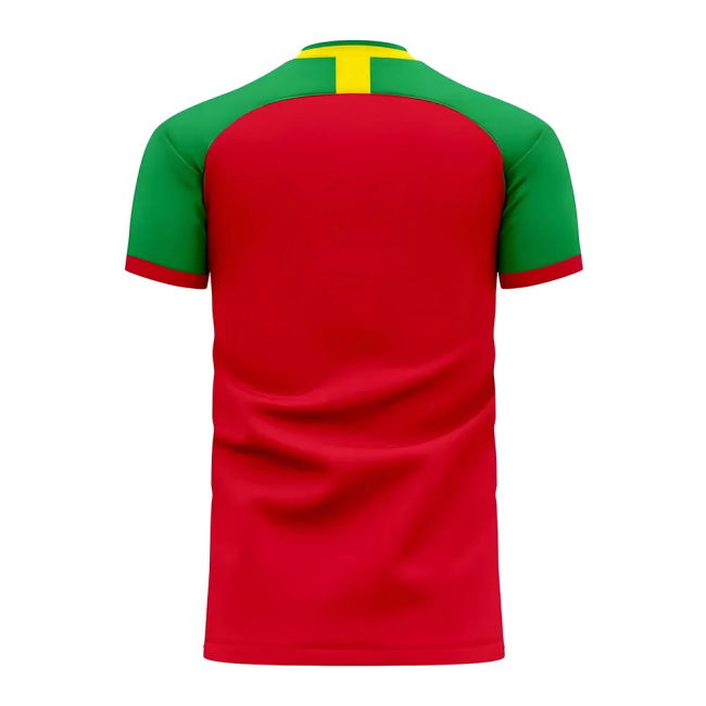 World-Class Guinea 2025-2026 Home Concept Football Kit (Libero)