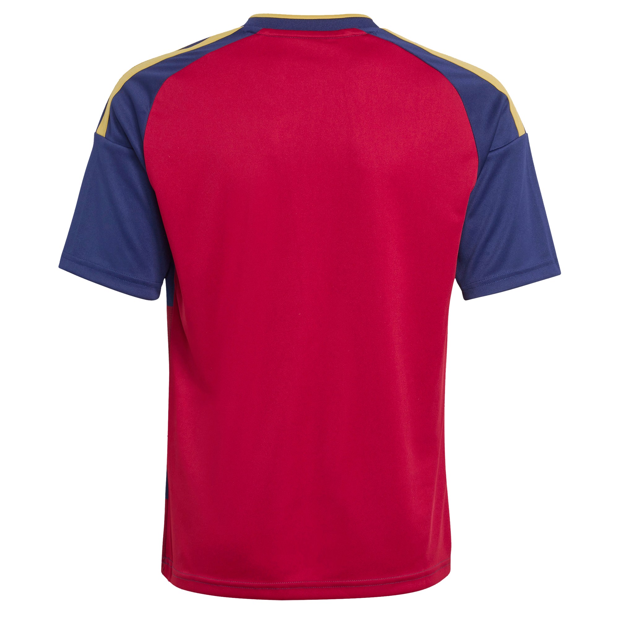[SJH] Real Salt Lake Youth 2026 The Switchback Replica Jersey - Red