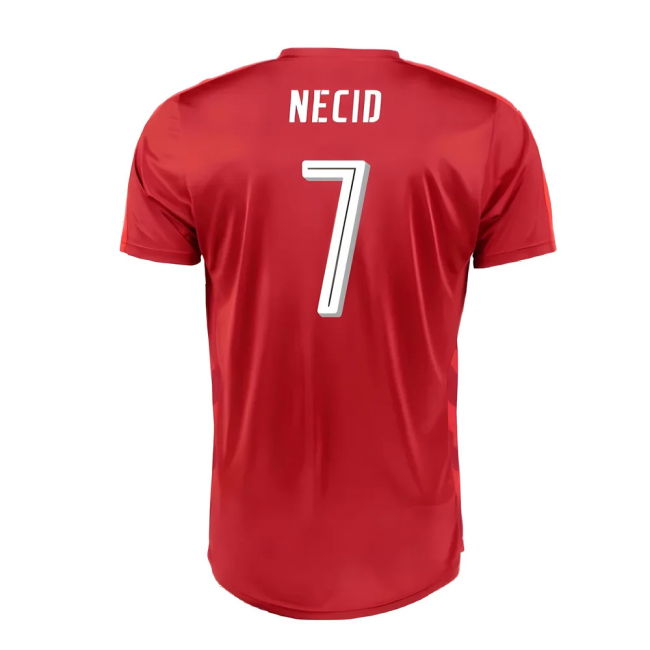 Player Issue Style Czech Republic Home Elite Kit 2016-2017
