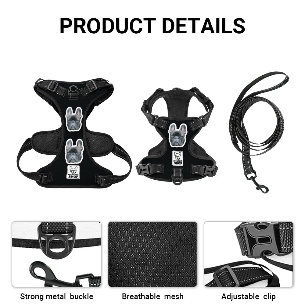 French Bulldog Esther Personalized No Pull French Bulldog Dog Harness Practical Dog Gear