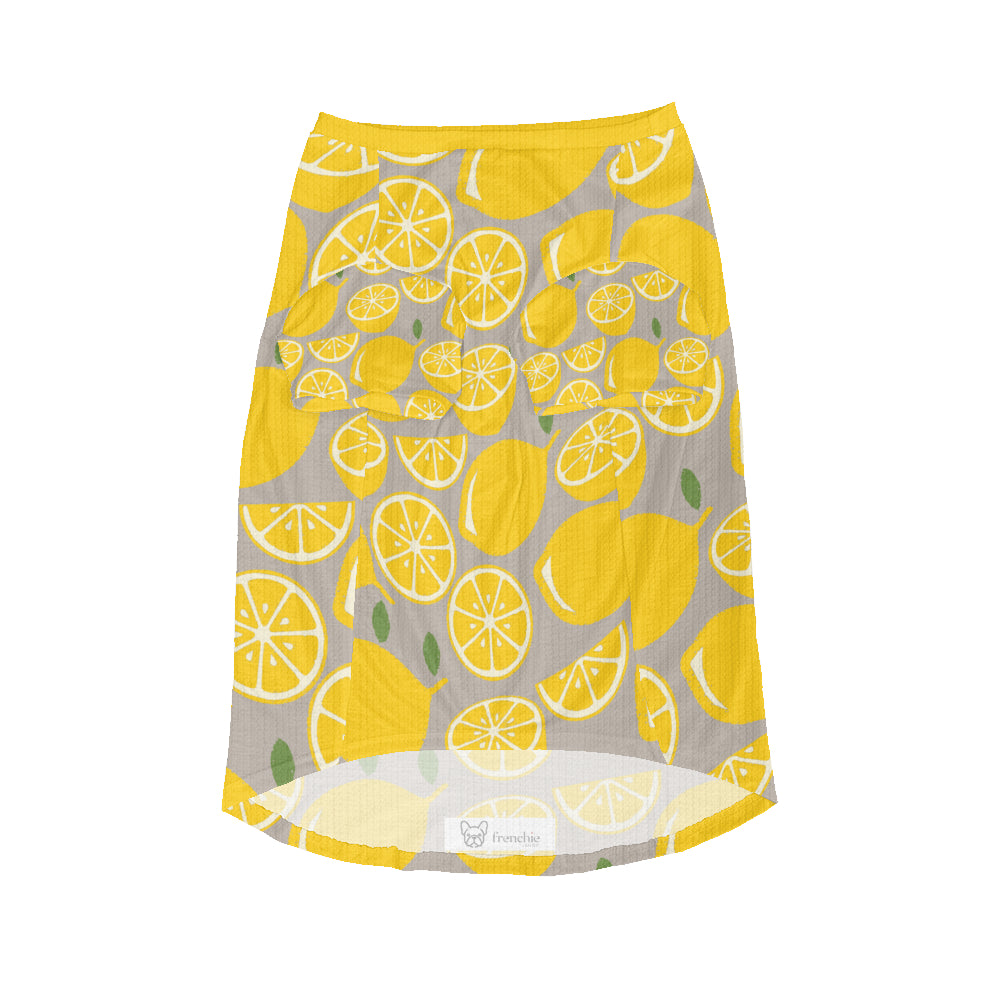 Street-Ready Luca - Wool Sweater For Frenchies for Daily Life