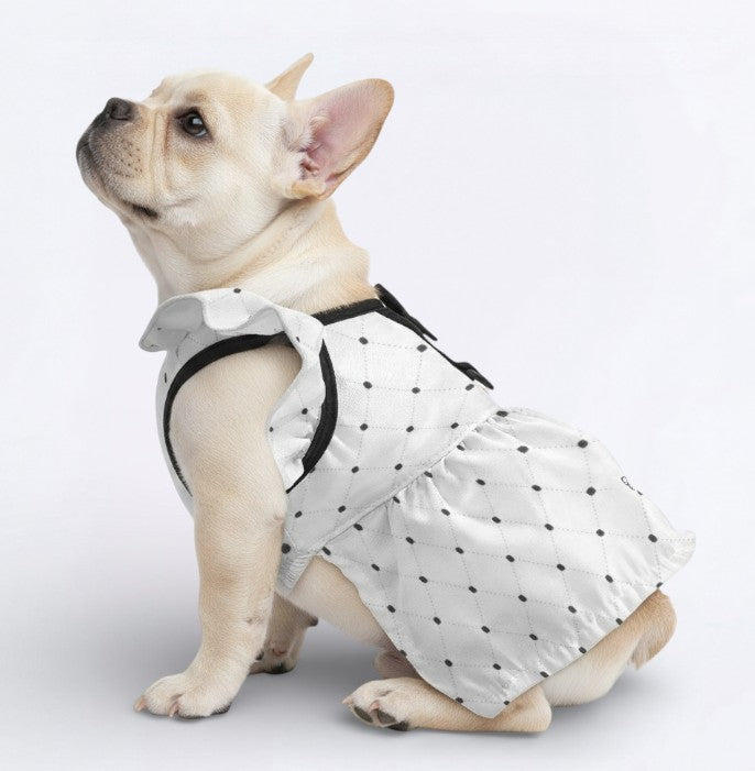 Durable Biscuit - French Bulldog Dresses For Females for Dog Owners