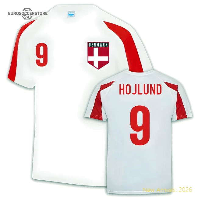 Denmark 2024-2025 Authentic Training Jersey (den) Timeless