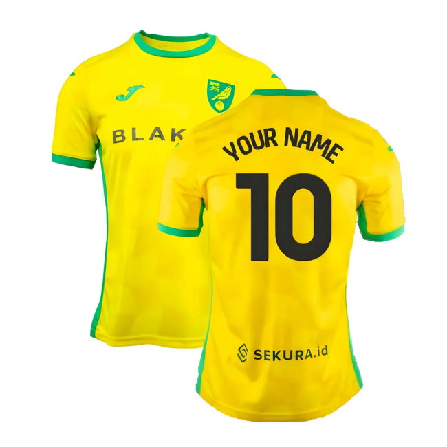Replica 2024-2025 Norwich Home With Special Edition Design