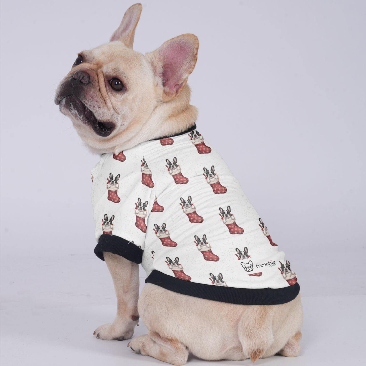 French Bulldog Thor Jacket For French Bulldog Soft Pet Apparel