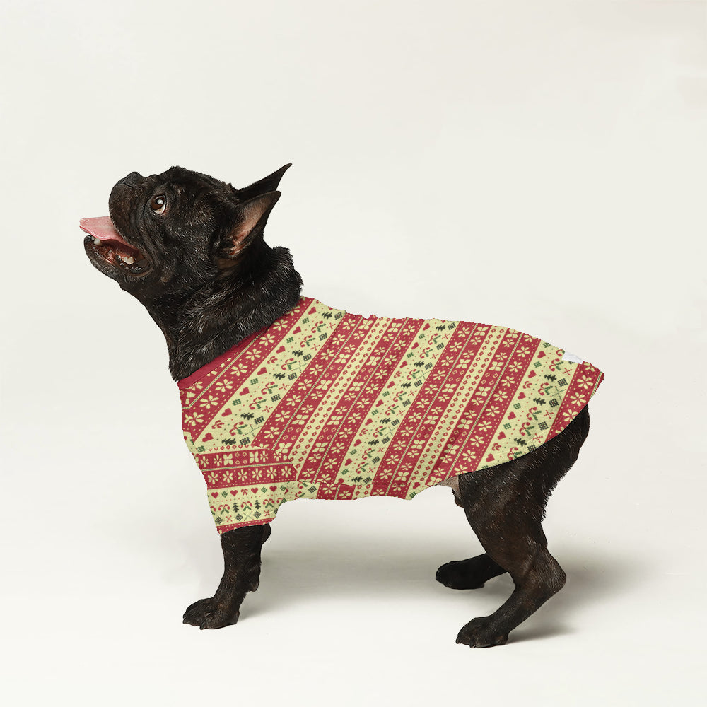 Premium Artie - Comfy Wool Sweater For Frenchies Casual Wear
