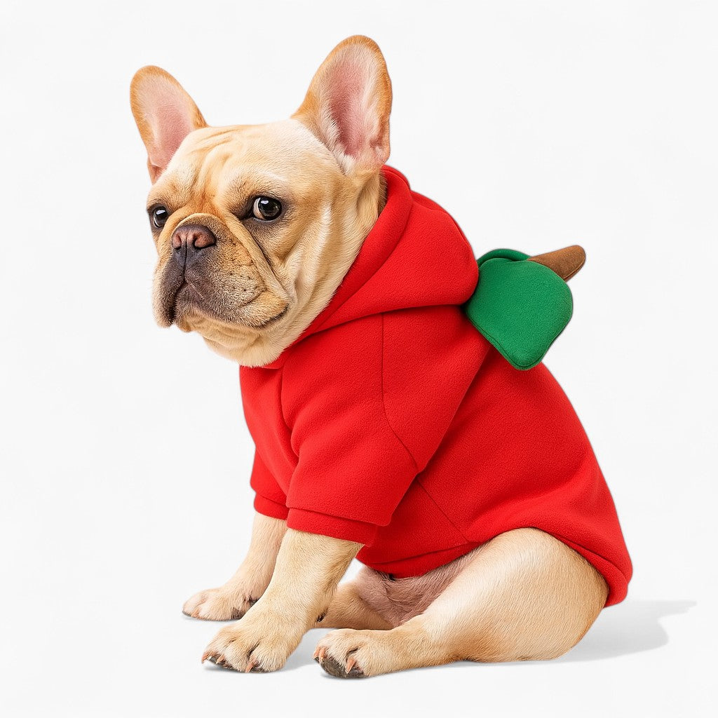 French Bulldog Barkana Frenchie Fruit Costume – Cute Apple Pineapple